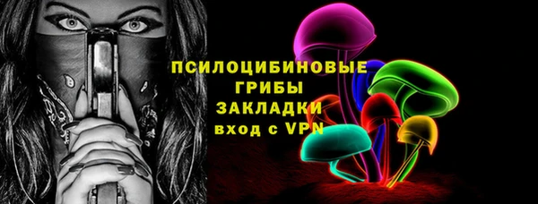 МДПВ Абаза