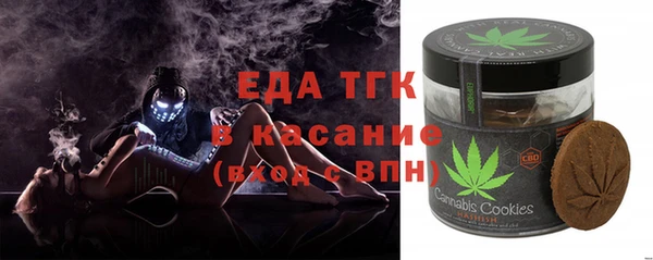 прущие грибы Тихвин