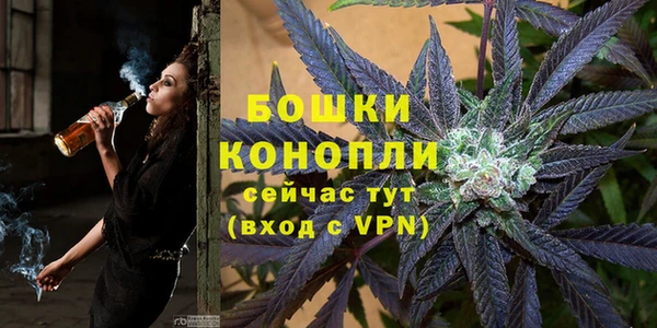 прущие грибы Тихвин