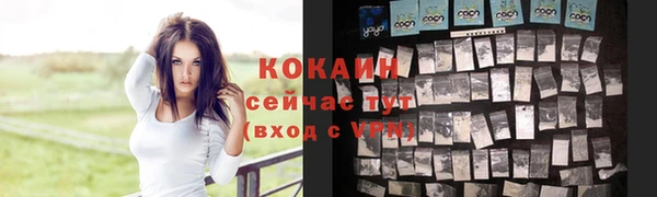 МДПВ Абаза