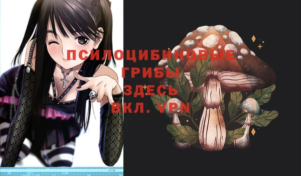 МДПВ Абаза
