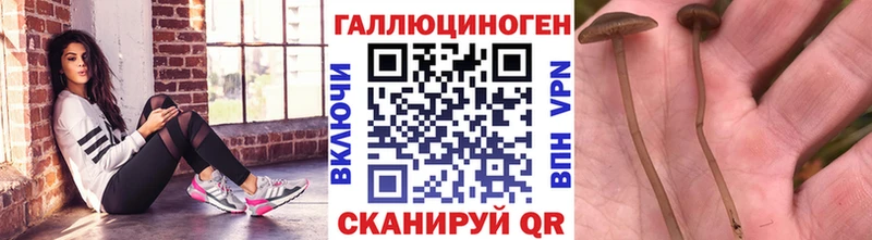 купить наркотик Новое Девяткино Галлюциногенные грибы прущие грибы