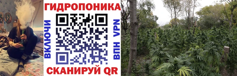 Марихуана планчик Новое Девяткино